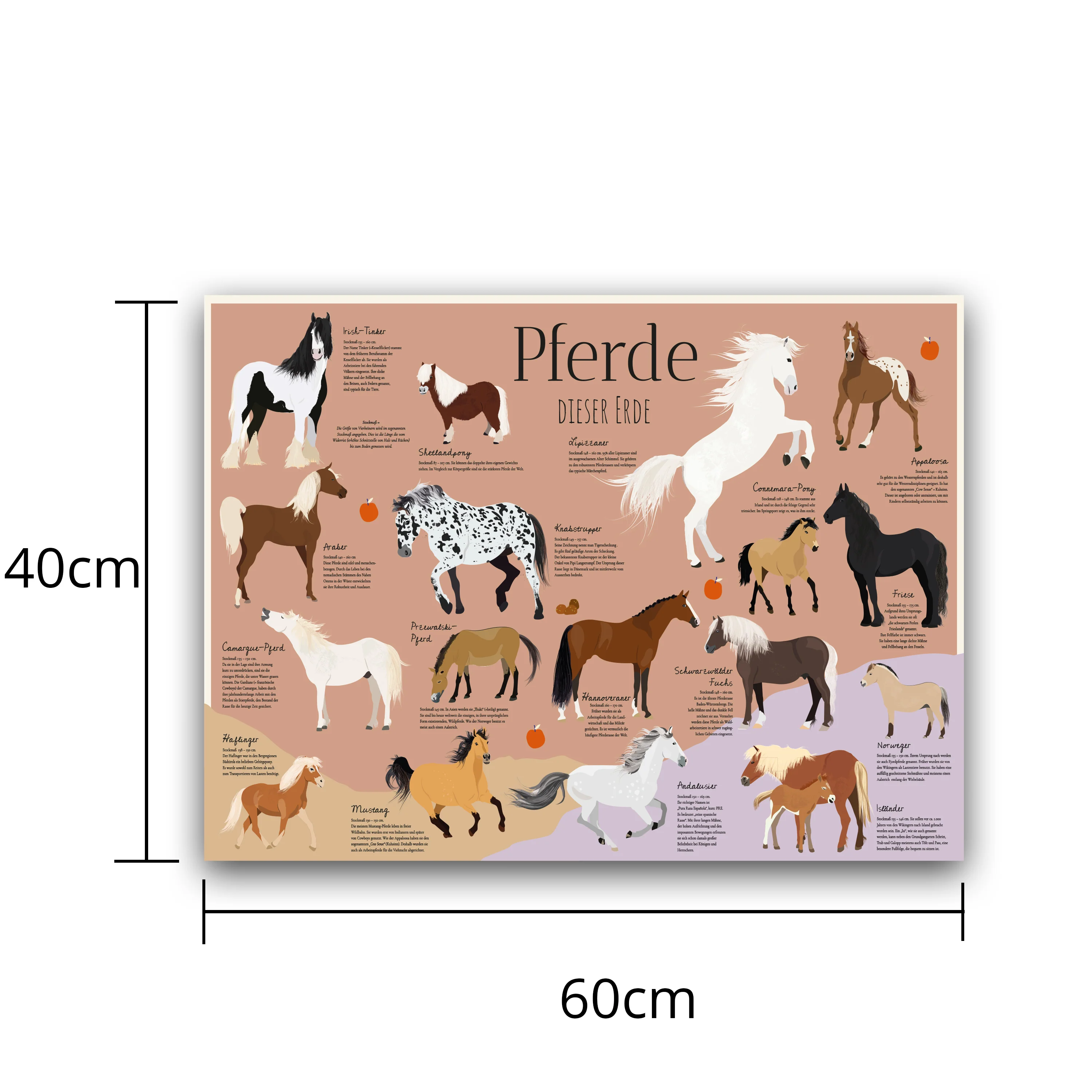 Pferde Schreibtischunterlage 60 x 40 cm - Image 6