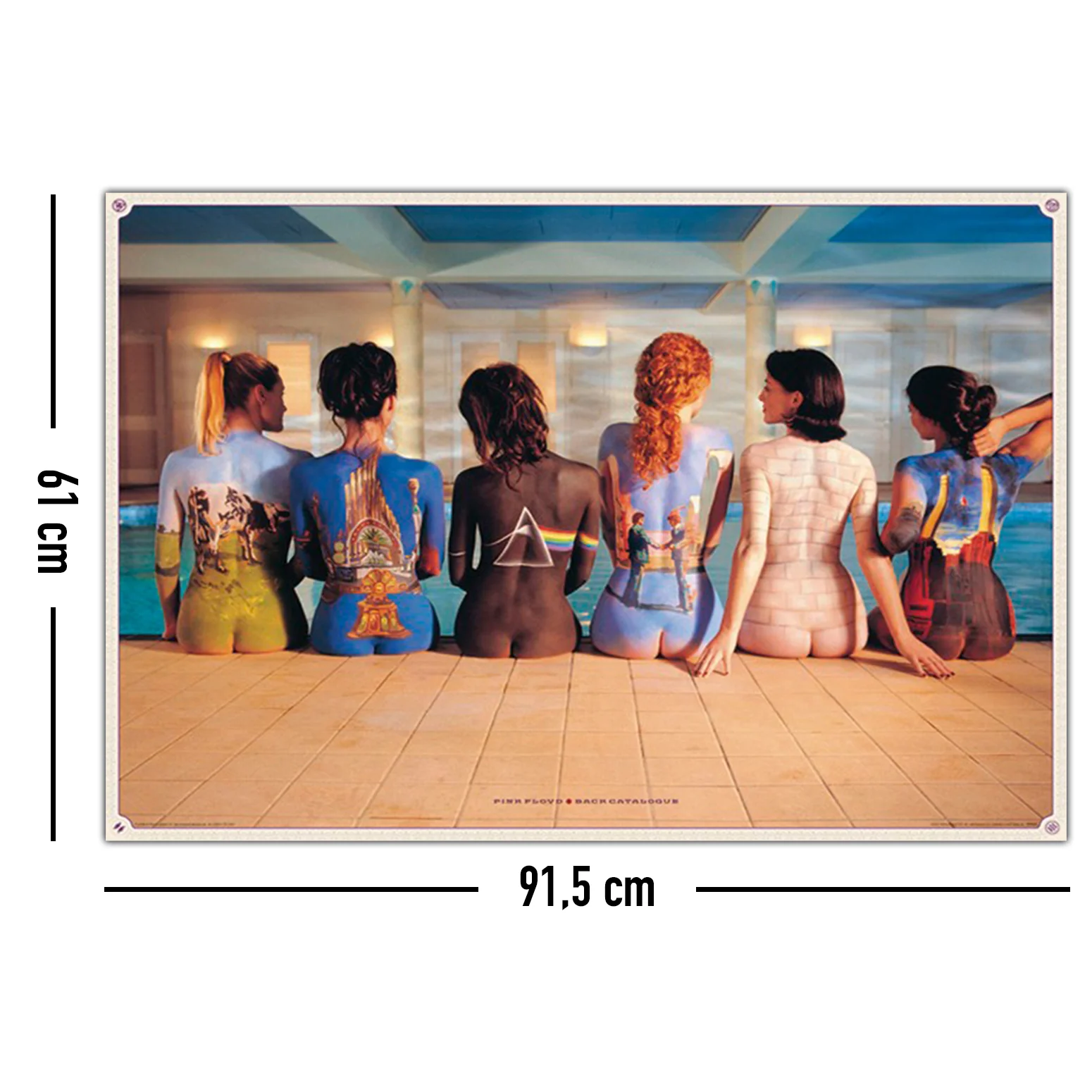 Pink Floyd Poster Bodypainting Album Covers - Image 9