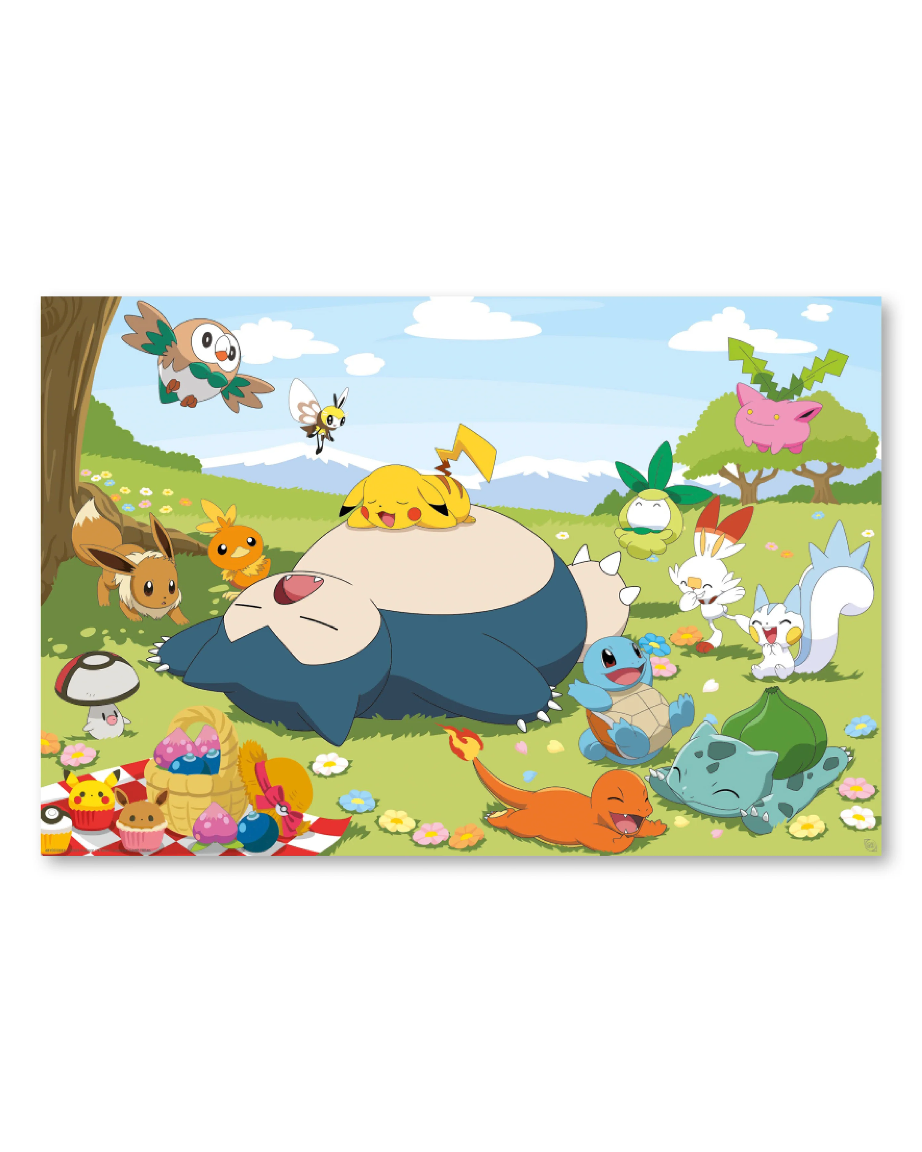 Pokémon Poster Picknick