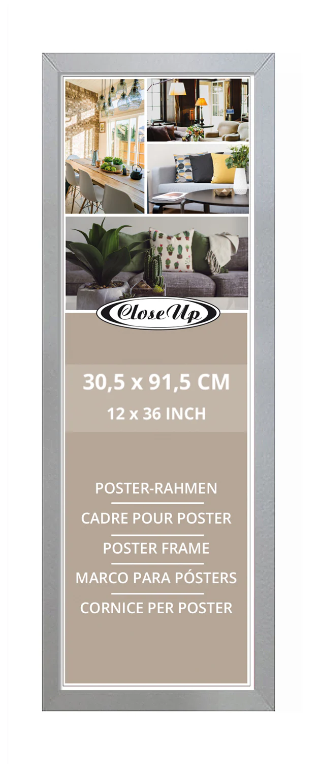 Posterrahmen 30,5 x 91,5cm silber