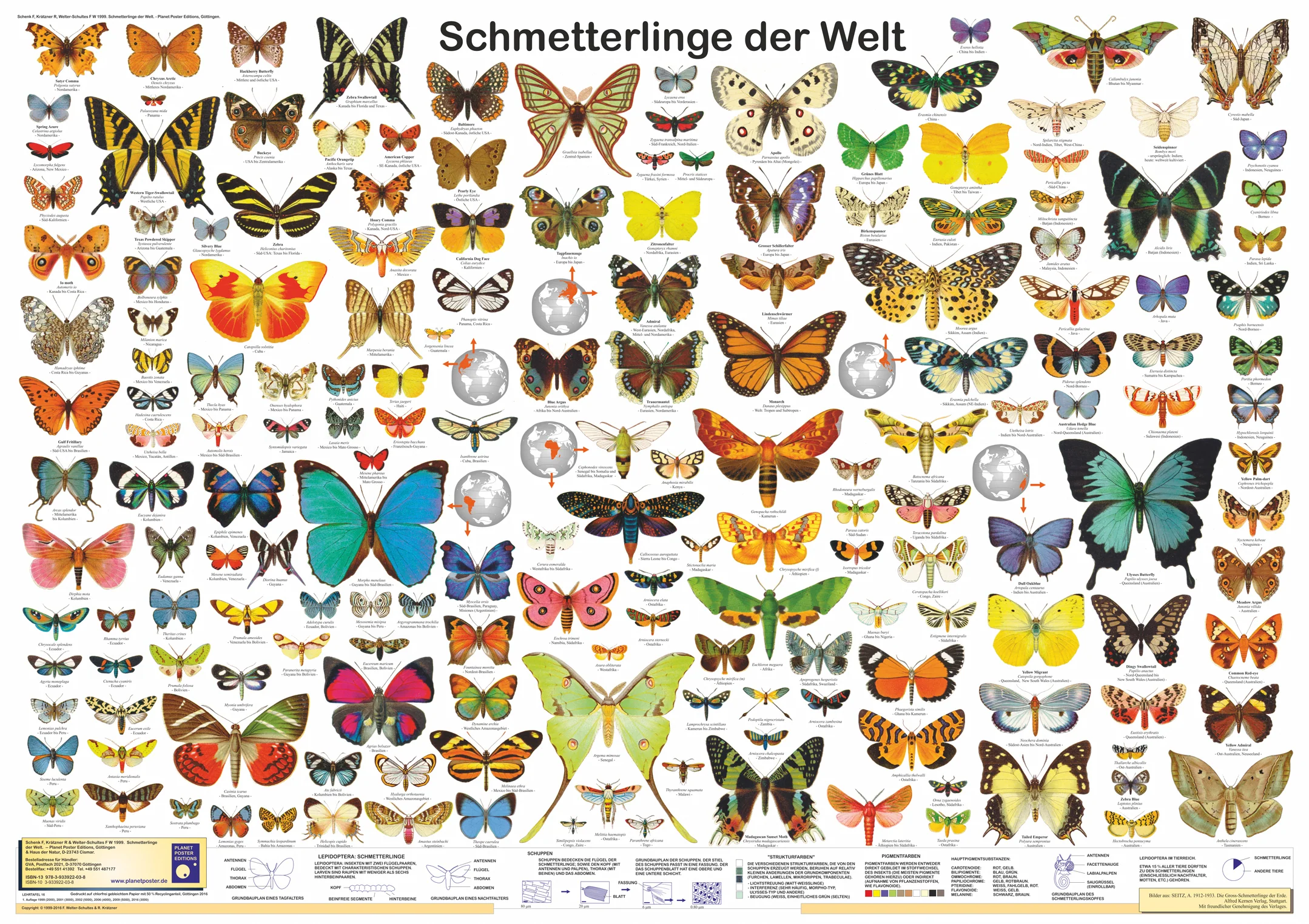 Schmetterlinge der Welt Poster deutsch DIN A1