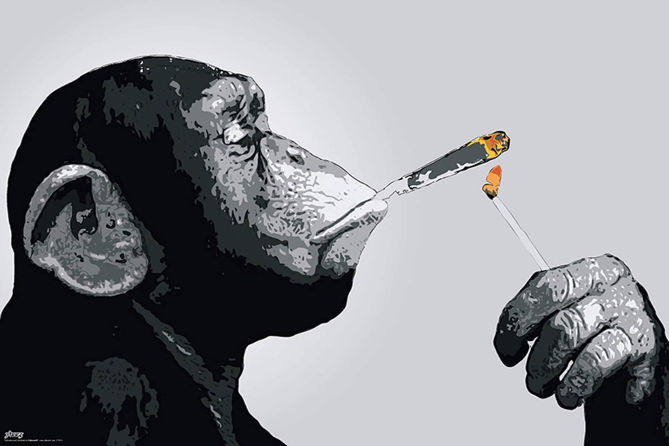 Steez Poster Monkey Joint Time