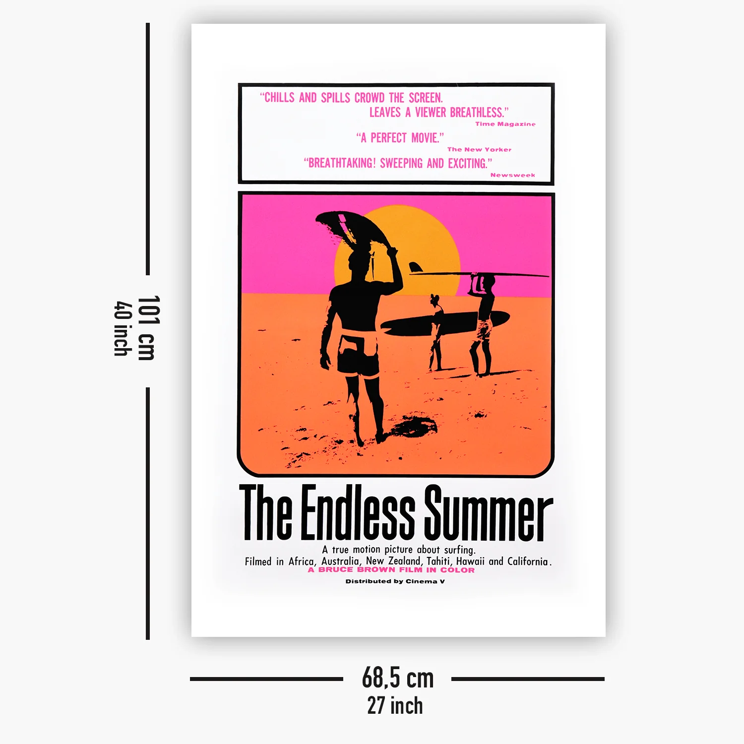 The Endless Summer Poster - Image 5