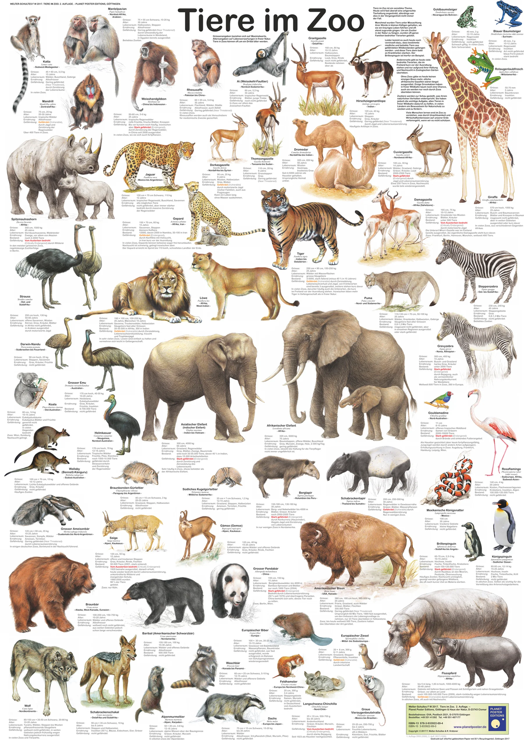 Tiere im Zoo Poster deutsch DIN A1