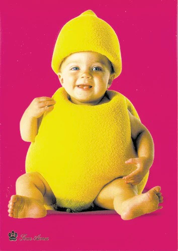 Postkarte Tom Arma Baby Fruits