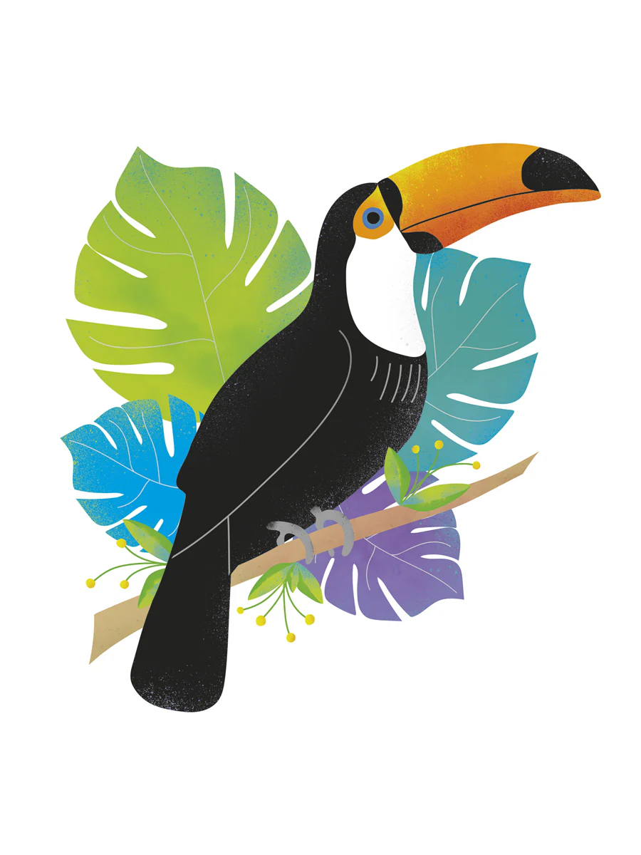 Toucan Tropics - Wild Kunstdruck Clara Wells