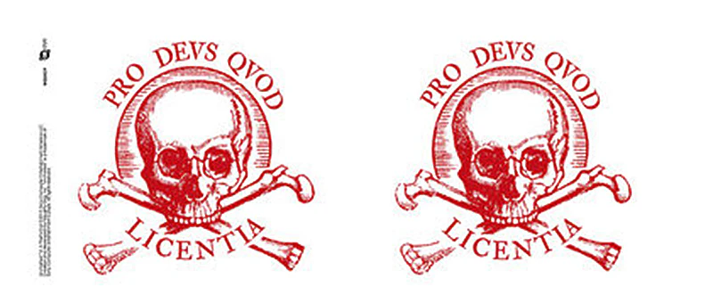 Uncharted 4 Tasse Pro Deus Quod Licentia Skull - Image 2