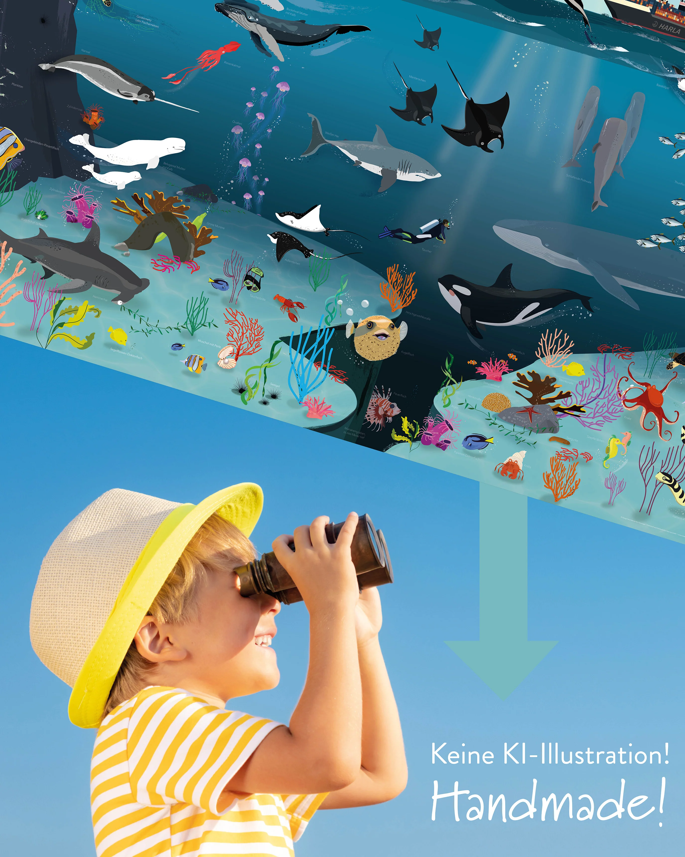 Unterwasserwelt für Kinder 250 gr. Papier, 140 x 100 cm - Image 6