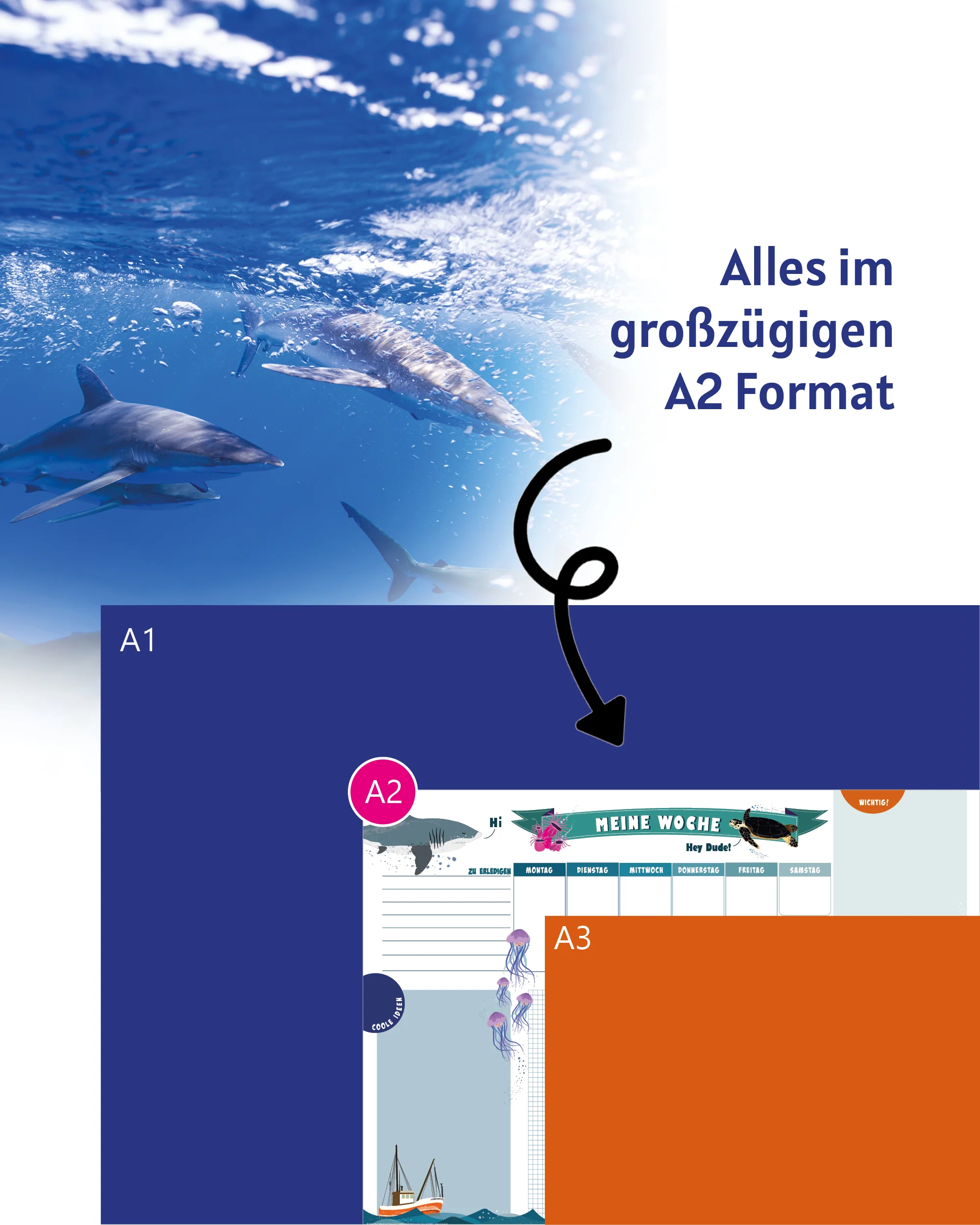 Unterwasserwelt Schreibtischunterlage zum Abreißen - Image 4