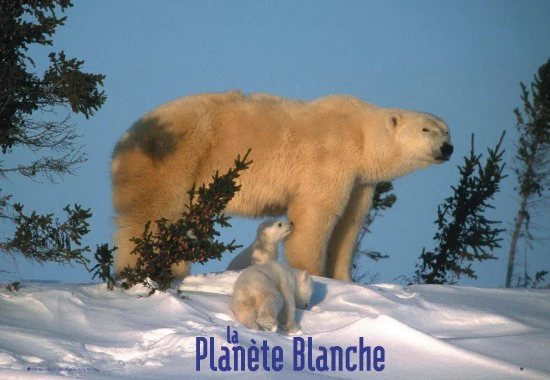 Postkarte White Planet