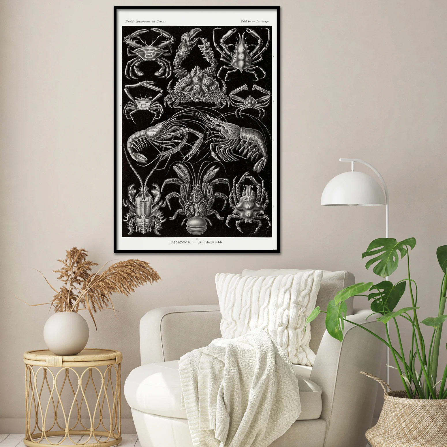 Zehnfußkrebse Poster Haeckel Kunstformen der Natur Tafel 86 - Image 2