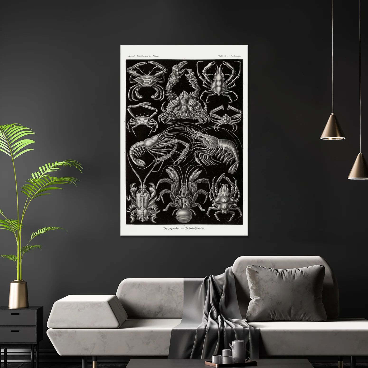 Zehnfußkrebse Poster Haeckel Kunstformen der Natur Tafel 86 - Image 3
